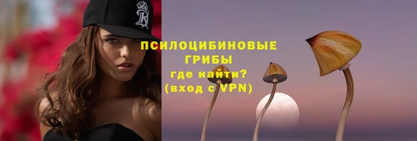 экстази Каменка
